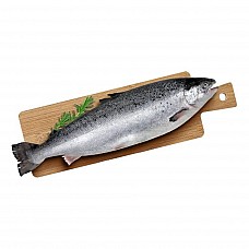 Atlantic salmon, head-on, 5–6 kg, chilled, Norway