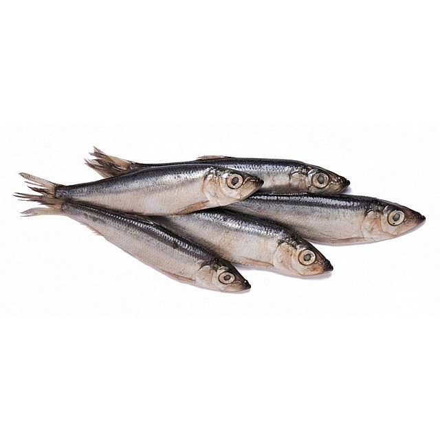 Килька 9-12 см  (10кг) Эстония IQF заморож.