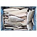 Akmeņasara fileja ar ādu 160/200 saldēts 20% (5kg) Turcija