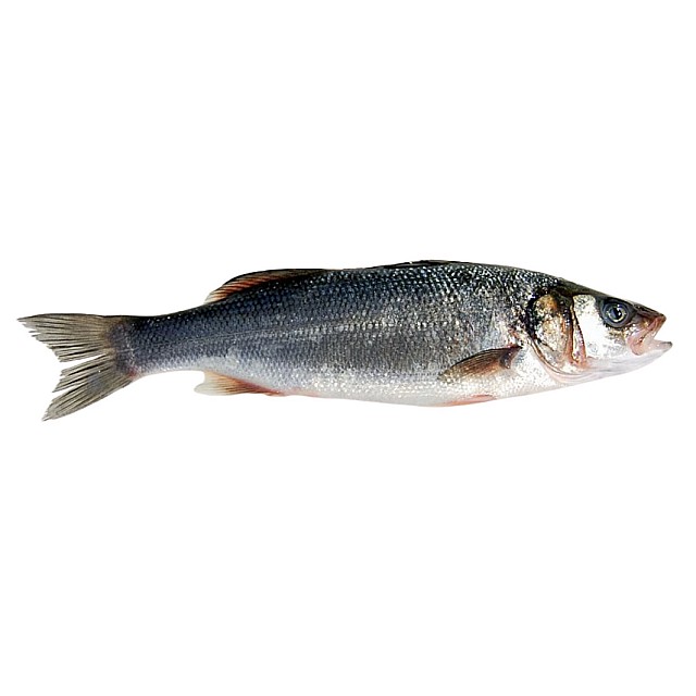 Akmeņasaris ķidāts 300/400 Turcija  (5kg) 20 % IQF