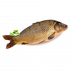 Carp gutted 0.85-2.3 kg