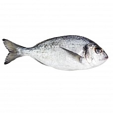 Белая дорадо (морской лещ) потрошеная, замороженная, 300-500 г, (10 кг) 5% Мавритания