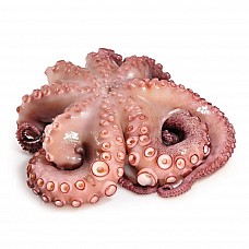 Octopus whole-cleaned, raw 2-3kg, 2.5kg, 10%