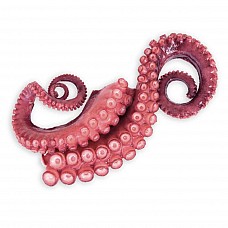 Octopus Cooked Tentacles, frozen 100-150g x 12pcs, 1.5kg