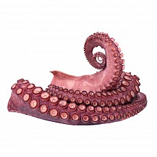 Octopus Cooked Tentacles, frozen (65g x 6 pcs) (375g x 16), Spain (6kg) Moyseafood