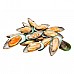 Greenshell mussels half-shell 30/40, 1kg