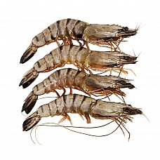 Black Tiger head-on, shell-on, raw 16/20 India (1kg) 20%