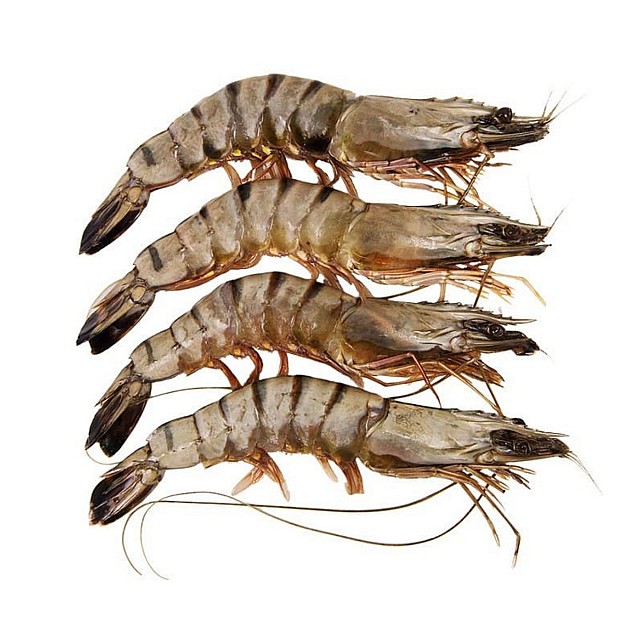 Креветки тигровые с/г, сырые 16/20 Индия (1кг) 20%