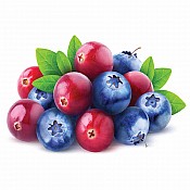 Лесные ягоды (3)