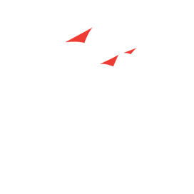 Salas Zivis