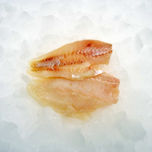 Red Fish Fillets skin less 180/200 gr (5kg) 20% frozen Red Fish Fillets skin less 180/200 gr (5kg) 20% frozen