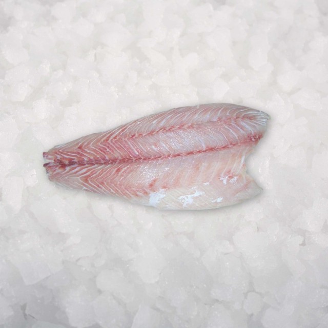 Nīlas asara fileja b/ā 300-500g Uganda (6kg) IQF 0%