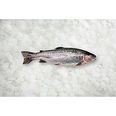 Vaivorykštiniai upėtakiai s/g, 4-5kg, Norvegija, atšaldyti