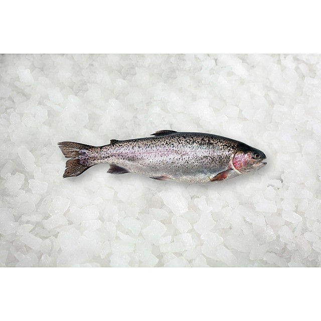 Форель с/г 4-5 охл. Норвегия