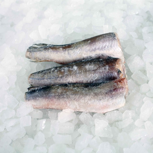 Hake HGT 70/150gr Spain,  (~24 kg)  interleaved
