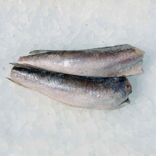 Hake HGT 300/500 Spain   ~22kg, iwp