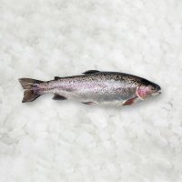 Радужная форель с головой потраш. 250/300гр 10% (5кг) Турция заморож.
