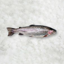Varavīksnes forele a/g ķidāta 250/300g. 10 % (5 kg) Turcija  sasald.