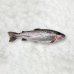 Varavīksnes forele a/g ķidāta 250/300g. 10 % (5 kg) Turcija  sasald.