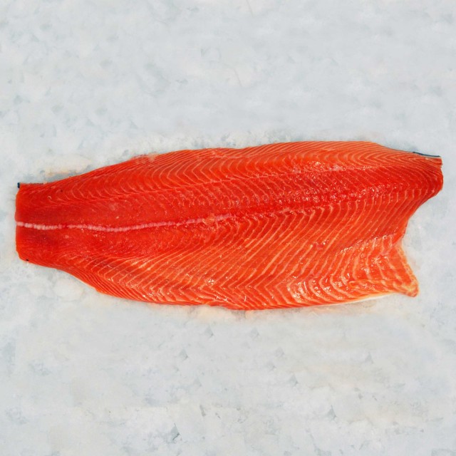 Trout Filet Trout Filet