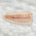 Cod fillet skinless  6-8+oz, 10% (5kg), China, IQF