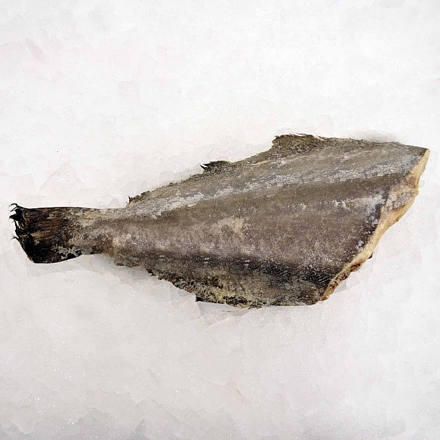 Greenland Halibut HG j/cut 1- kg/pcs (~ 20 kg) Norgevija frozen