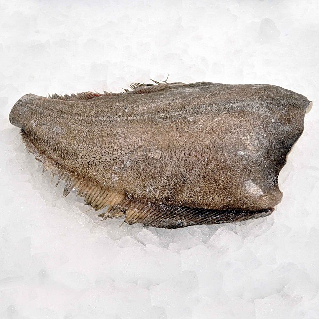 Halibut HGT 3-5 kg (13 kg) Greenland frozen