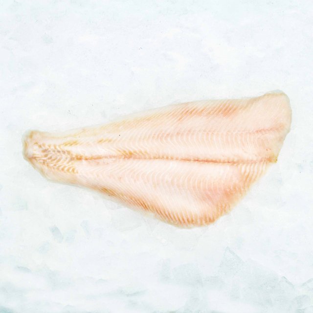 Black Halibut fillets s/less b/less 200/400 (2 x 6.81 kg) Interleaved frozen