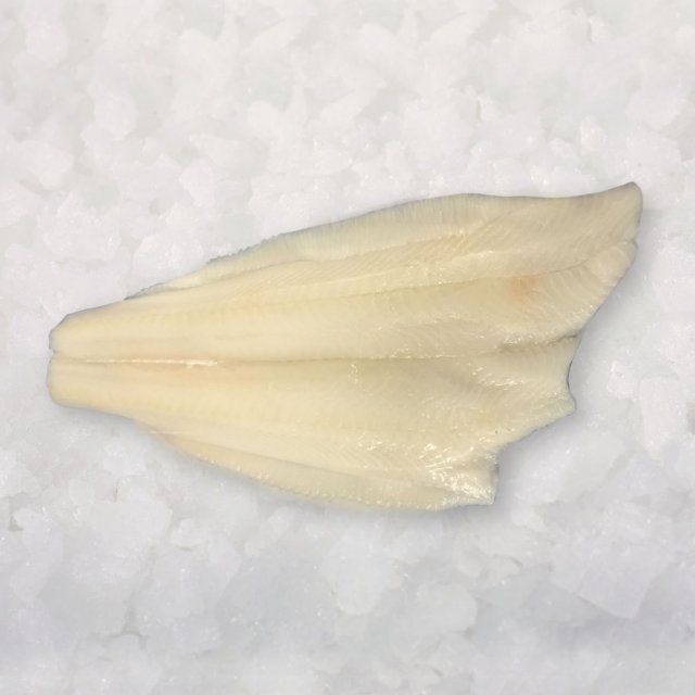 Black Halibut fillets s/less