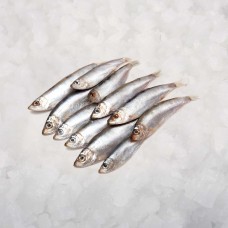 Baltic Sprats 9-12 cm (10 kg) Estonia IQF frozen