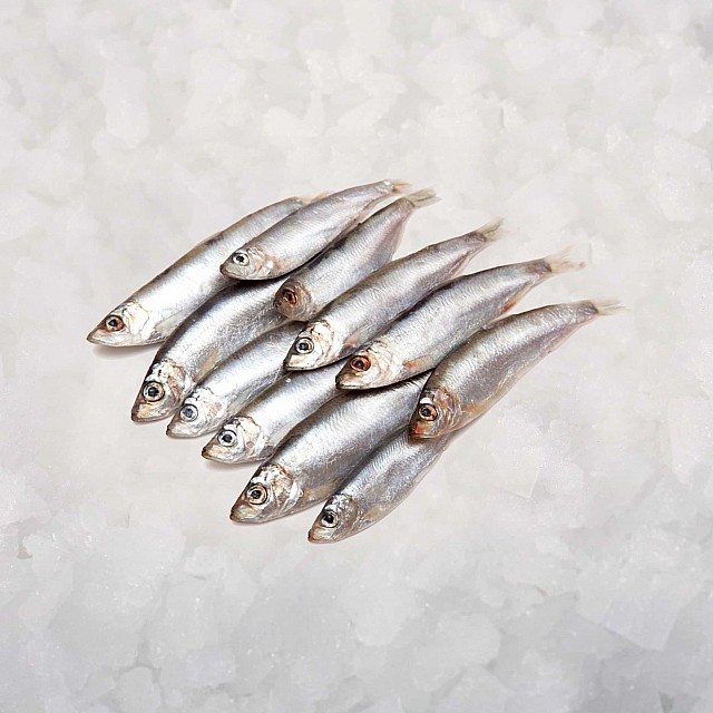 Килька 9-12 см  (10кг) Эстония IQF заморож.