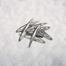 Capeline WR 25-35 Iceland (2*12,5 kg) frozen