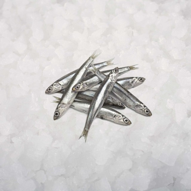 Мойва 25-35 (2*12,5 кг) Исландия заморож.