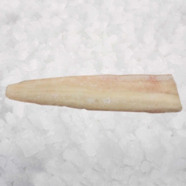 Europinių lydekų filė be odos 100-200, 10% gl., 5kg, šaldyta