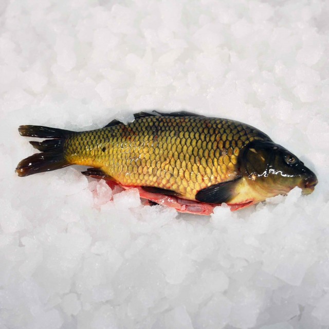 Carp fresh gutted 1-2kg Aquaculture FAO 05 inland water Carp fresh gutted 1-2kg Aquaculture FAO 05 inland water