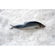 Сельдь с/г 300+ (20кг) Норвегия