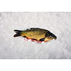 Kaрп потрошенный с/г, замороженный 0.85-2.3 кг (~ 6 кг)