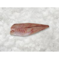 Nile Perch Fillets skin-less 300-500g Tanzania 6kg