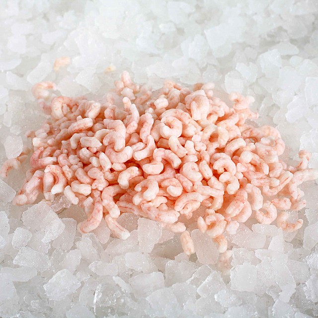 Coldwater prawns cooked, peeled 100/200 Norway MSC (4x2,5kg) 8-12% Coldwater prawns cooked, peeled 100/200 Norway MSC (4x2,5kg) 8-12%