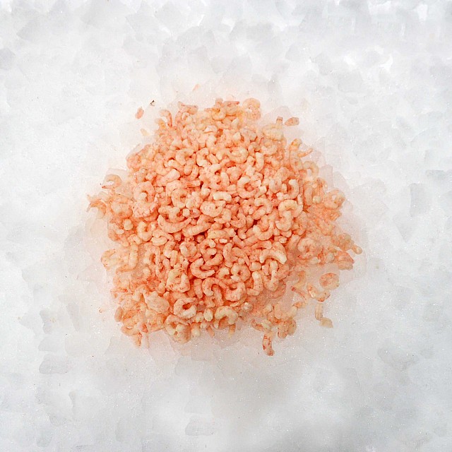 Coldwater prawns cooked, peeled 250/350 Norway MSC (4x2,5kg) 20% Coldwater prawns cooked, peeled 250/350 Norway MSC (4x2,5kg) 20%