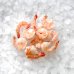 Vannamei shrimps Cooked and Peeled Tail-on 26/30, 500g, 20% glaze, Gardi Edis