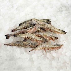 Didž. tigrinės krevetės, nevirtos, s/kiautais, 21-30/kg, 1000/750g, 25% gl., šaldytos
