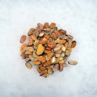 Mussel meat, cooked 100/200, 10kg, 10%