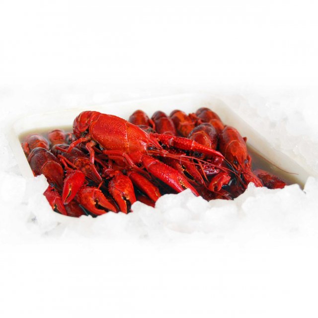 Crayfish WR cooked in dill-brine, 1kg