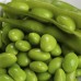 EDAMAME green Soybeans, 400g