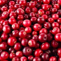 Сranberry, 1kg