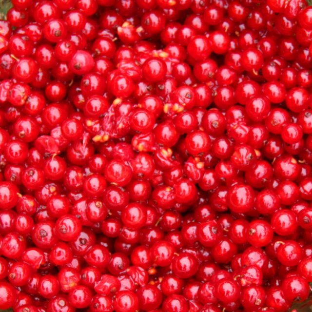 Red currant without steam, 2,5kg