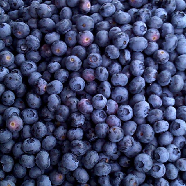 Blueberry, 1kg