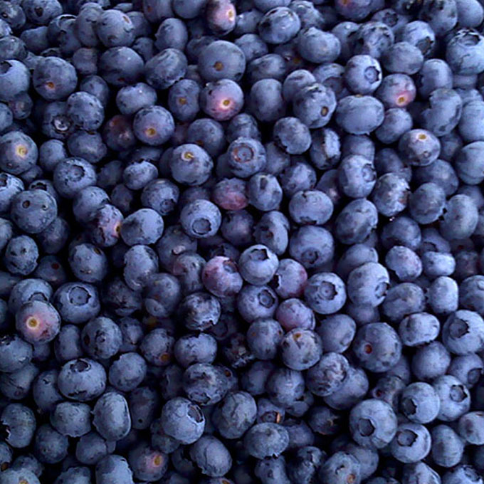 Blueberry, 1kg