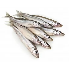Salaka a/g IQF 12-16, 10% Somija, 1kg